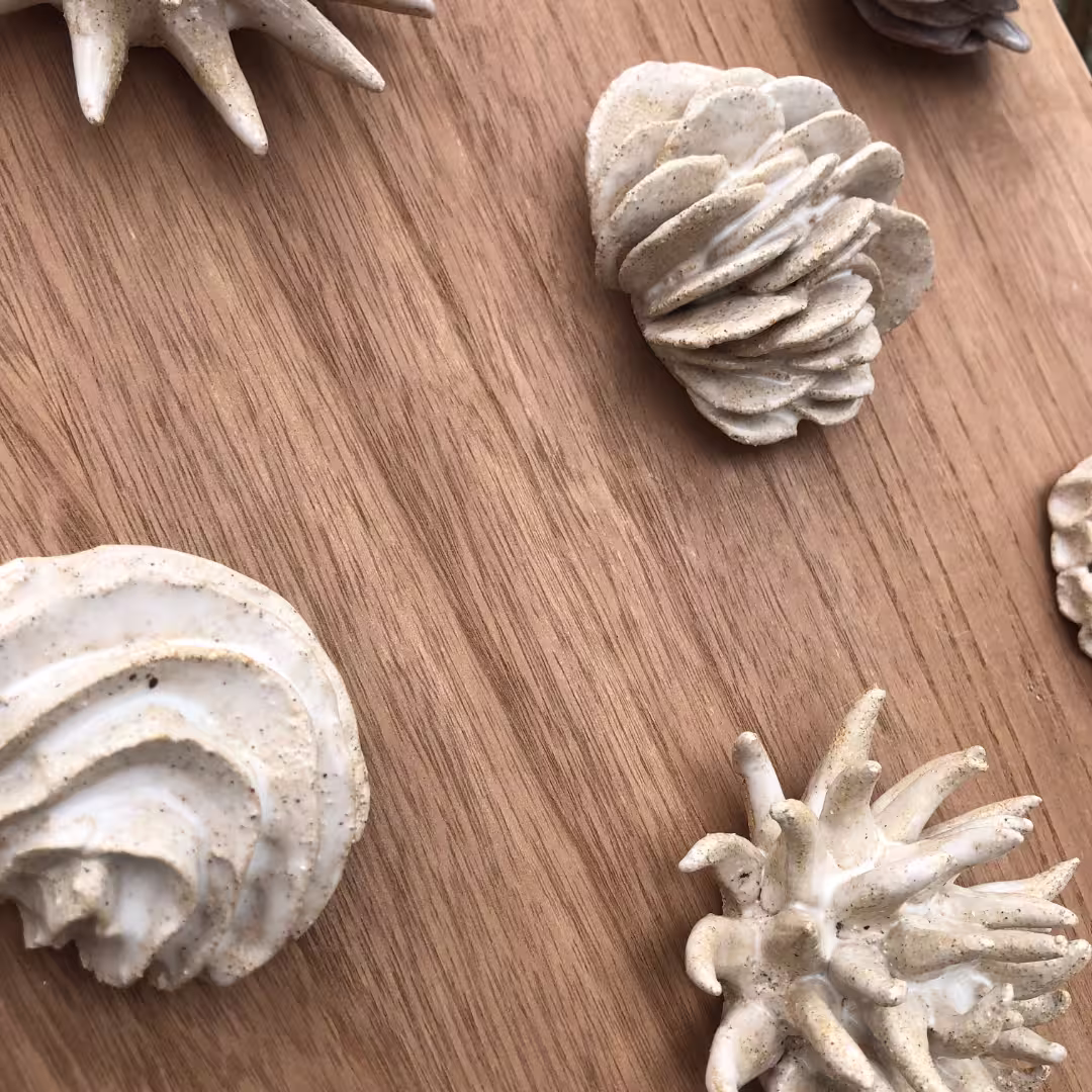 décoration murale, oursin anémone, coraux, éléments décoratifs muraux, variés et textures