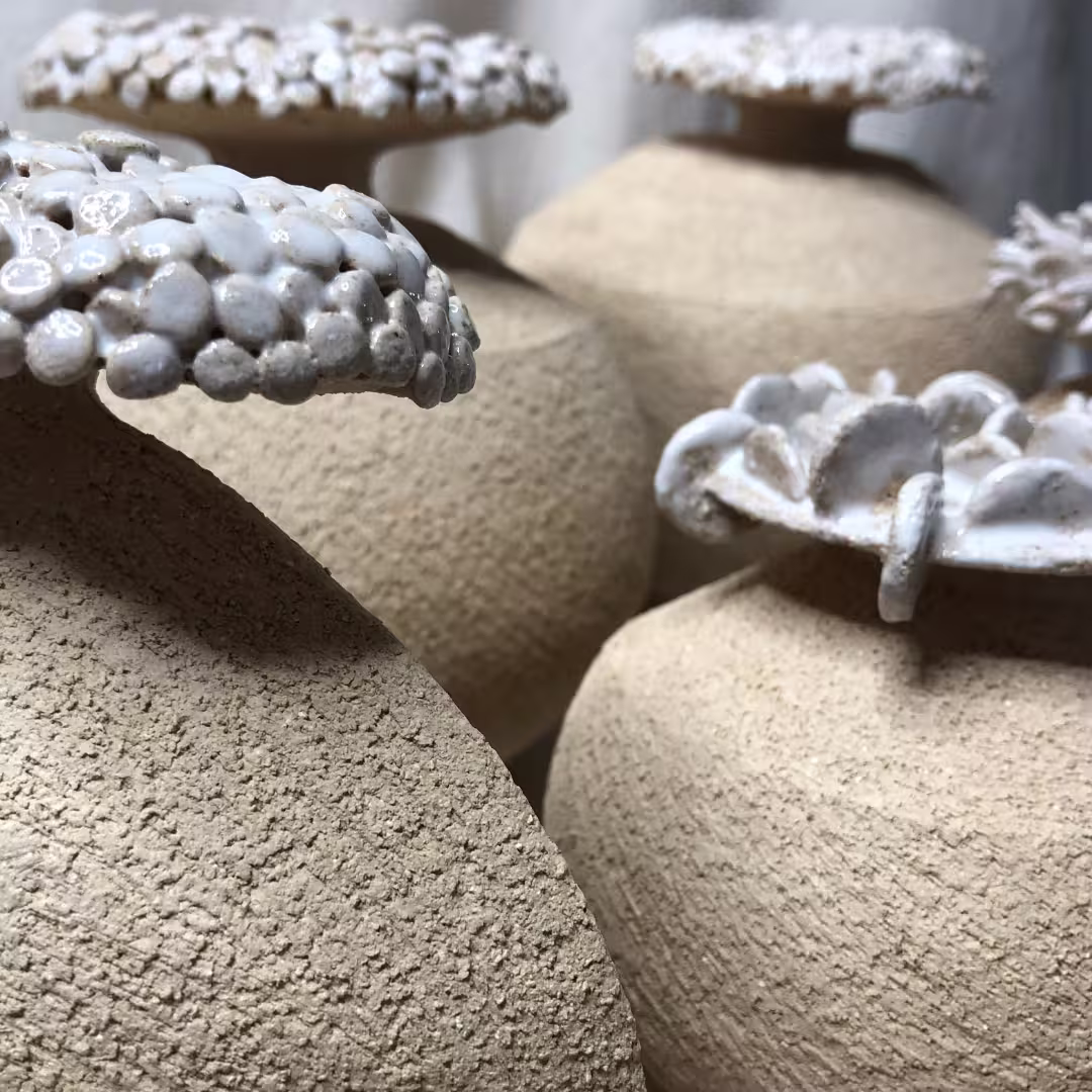 vue de l'ensemble des soliflore clay pearl texturé