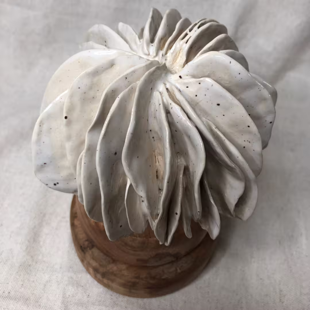 anémone décoration sculpture - zoom texture